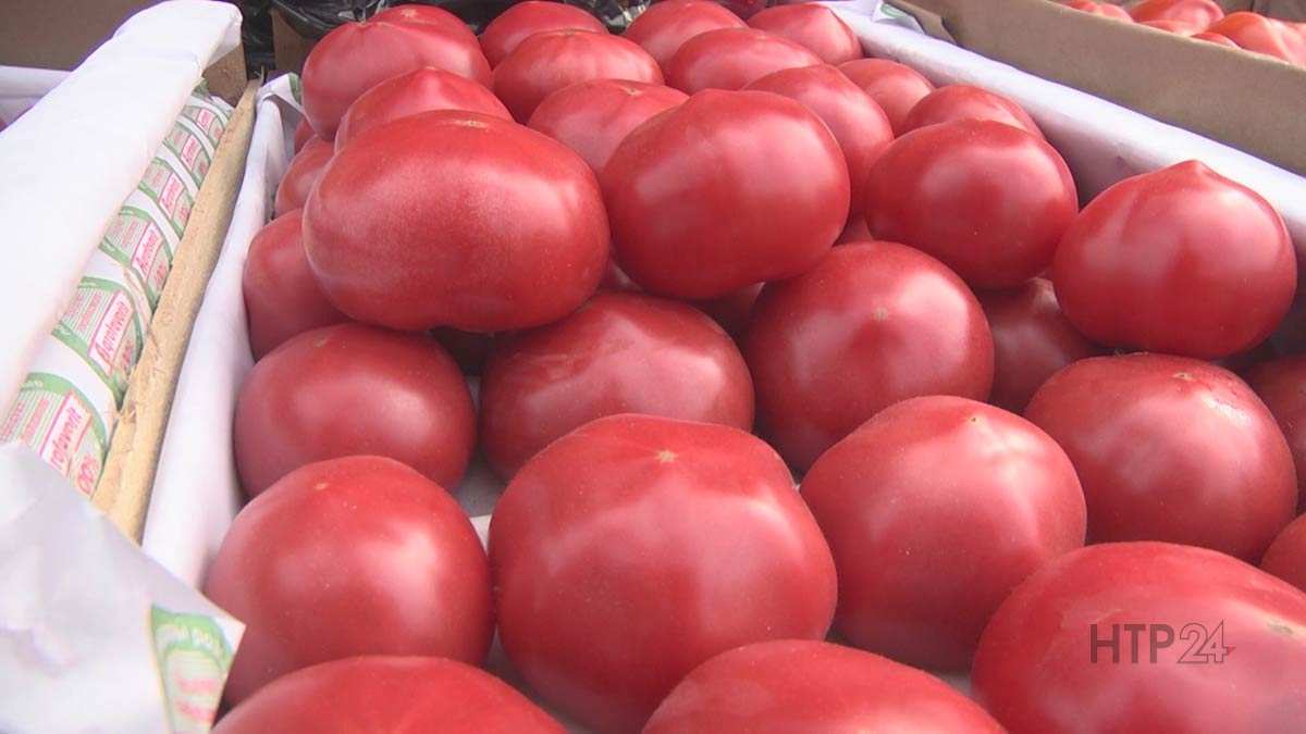Почему не вызревают помидоры: 5 причин и ошибок агротехники
