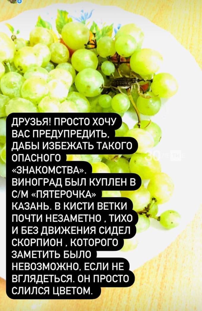 Магазин Виноград Набережные Челны