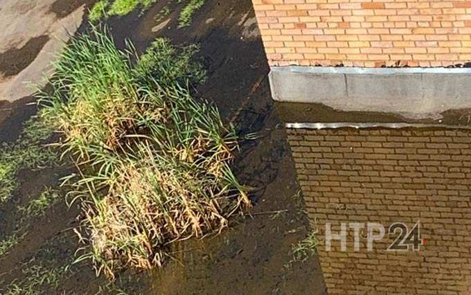 На крыше здания в Нижнекамске образовалось болото