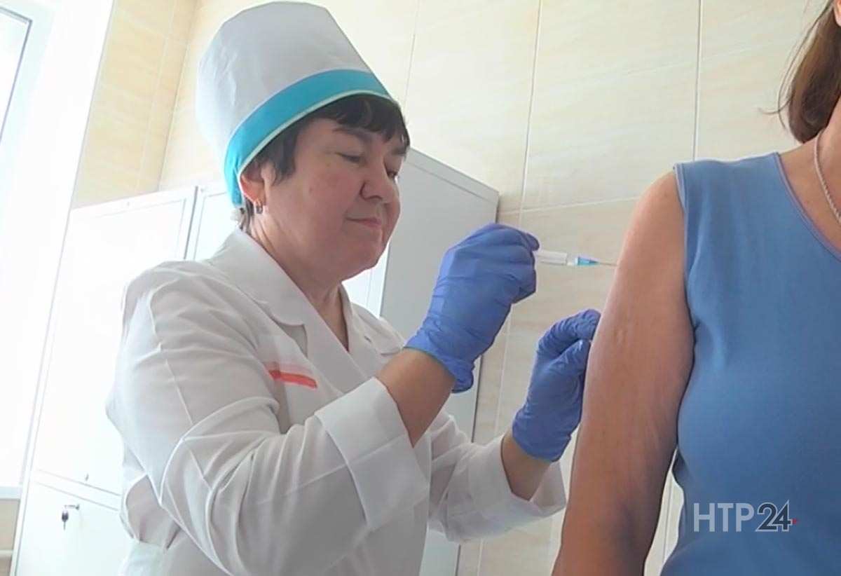 В Нижнекамске начали делать прививки от гриппа