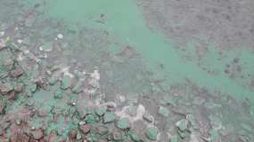 Экологи объяснили, почему позеленела вода в Каме в Нижнекамске