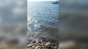 Татарстанец отдыхал с друзьями на реке, решил перед уходом домой искупаться и утонул