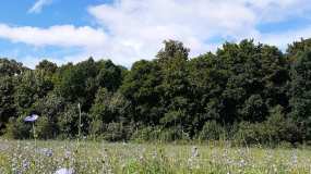 В Гидрометцентре рассказали о погоде в начале новой недели - НТР 24