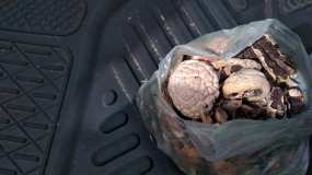 «Избавят от депрессии и алкоголизма»: в Челнах задержали мужчину с пакетом галлюциногенных грибов