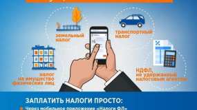 Платим налоги - создаем будущее сегодня - НТР 24