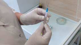 Первая партия вакцины против гриппа поступила в Татарстан - НТР 24