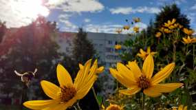 Тёплая погода вернётся в Татарстан на следующей неделе - НТР 24