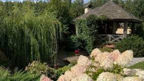 «Шикарный каскад»: начальник нижнекамского ЗАГС показала подписчикам в Инстаграм свой сад - НТР 24