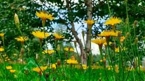 Дождь, гроза и порывистый ветер обрушатся на Татарстан 26 августа - НТР 24