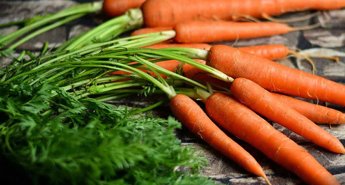 Ботва моркови: никогда не выкидывайте - она намного полезнее самого корнеплода