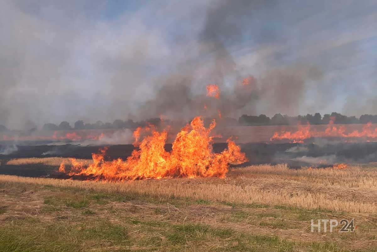 В Татарстане на поле вспыхнул пожар, сгорели остатки после сбора урожая