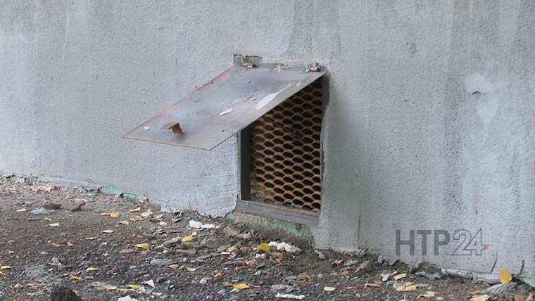 Кошки оказались замурованы в подвале одного из нижнекамских домов