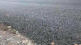 В Нижнекамске перекроют дорогу до огородов - НТР 24