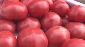 В этом году помидоры буду сажать осенью. Устала от рассады и «забитых» подоконников