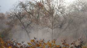 В Татарстане ожидаются туман и заморозки