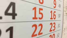 Минтруд хочет сделать 31 декабря выходным днём - НТР 24