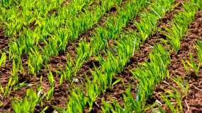 Минсельхозпрод предложил татарстанским фермерам агрострахование