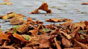 В Татарстане ночью ожидается сильный ветер - НТР 24