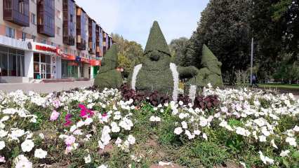 В выходные в Татарстане воздух прогреется до +22 градусов - НТР 24