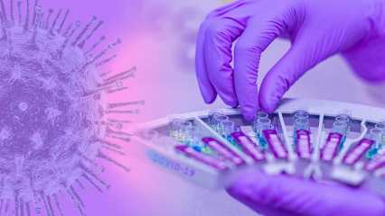 В Татарстане выявлено 26 новых случая заражения коронавирусом - НТР 24