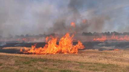 В Татарстане на поле вспыхнул пожар, сгорели остатки после сбора урожая