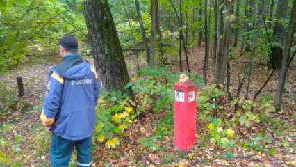 Челнинские спасатели 4 часа искали по лесу трёх любительниц грибов