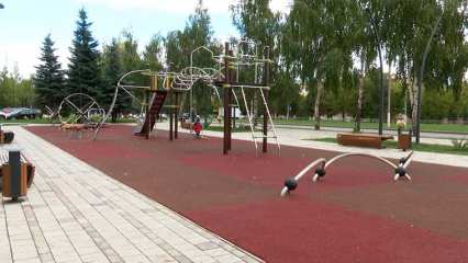 В Нижнекамске около детской площадки на пр. Химиков установят живую изгородь