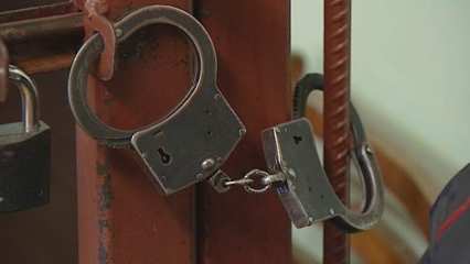 Житель Татарстана лишён свободы на пять месяцев за кражу двух бутылок коньяка - НТР 24