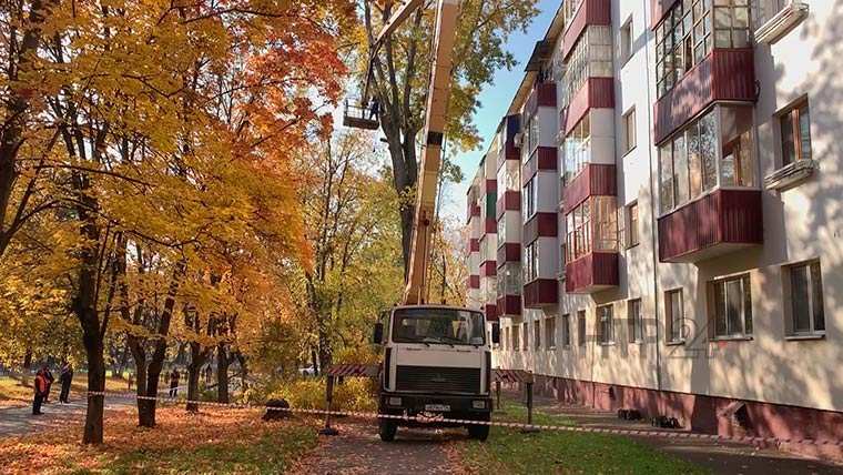 Санитарную обрезку деревьев проводят в Нижнекамске