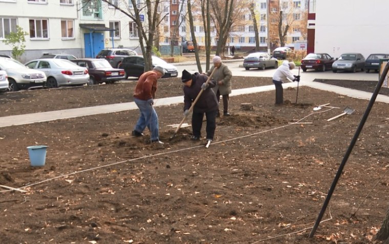 Жильцы дома на ул.50 лет Октября в Нижнекамске сами посадили деревья у себя во дворе