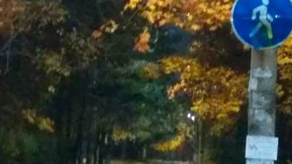 На отсутствие уличного освещения пожаловалась нижнекамка - НТР 24