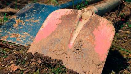 Старший брат убил младшего и закопал у себя во дворе - НТР 24