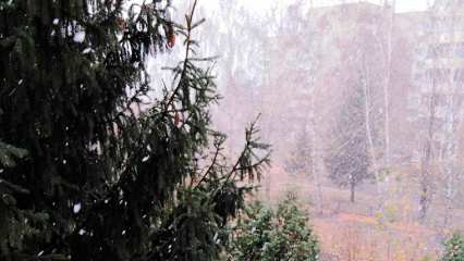 В Нижнекамске выпал первый снег