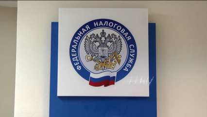 Информационные вебинары для индивидуальных предпринимателей и юридических лиц - НТР 24