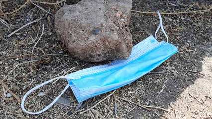 По всей России ввели масочный режим - НТР 24