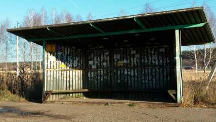 В Нижнекамске отменили зимний маршрут до Дмитриевки и Ильинки, автобус перекинули в город - НТР 24