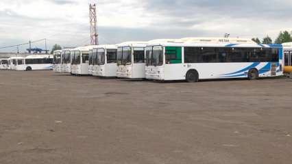 Маршрут из Нижнекамска до Берёзовой гривы будет ходить по новому расписанию - НТР 24