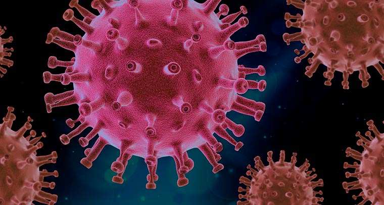 Ученые установили, сколько могут сохраняться антитела к коронавирусу SARS-CoV-2