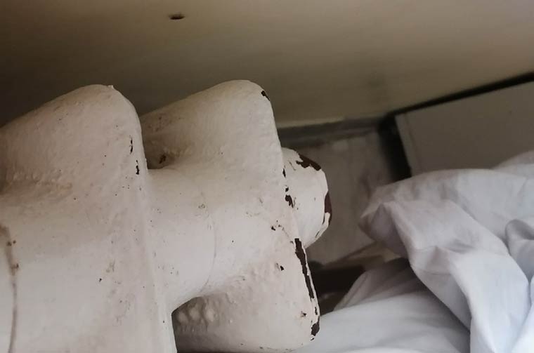 Пациентка нижнекамской больницы пожаловалась на полчища тараканов