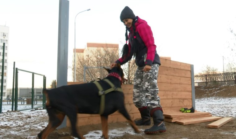 В Нижнекамске открыли третью площадку за 2 млн рублей для выгула собак