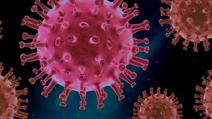 Ученые установили, сколько могут сохраняться антитела к коронавирусу SARS-CoV-2