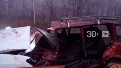 На трассе в Татарстане погиб водитель легковушки с прицепом, врезавшись в такси