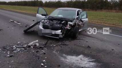Уснул за рулём: челябинский водитель устроил смертельное ДТП в Татарстане - НТР 24