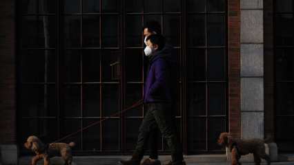 Стало известно, где люди чаще всего заражаются COVID-19 - НТР 24