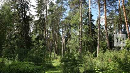 В Татарстане увеличили в 2 раза число мест для написания экодиктанта - НТР 24