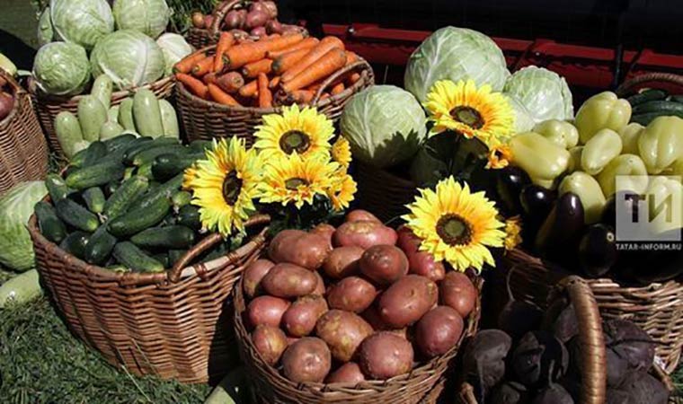 Треть городских жителей Татарстана ежемесячно покупают фермерскую продукцию