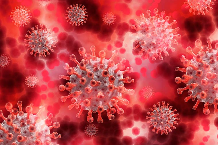 Стало известно, сколько сохраняется иммунитет после коронавируса