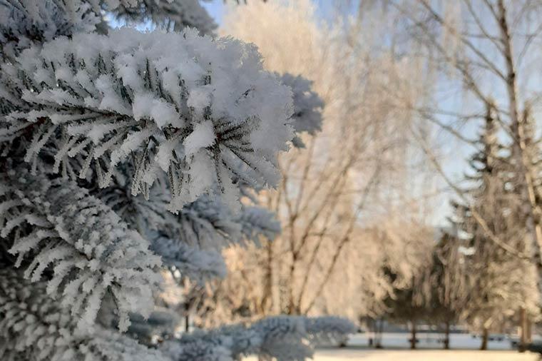 В Татарстане прогнозируется мороз в последние дни уходящего года