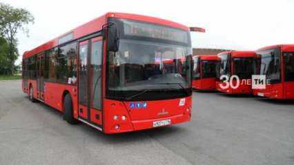 В Татарстане хотят возобновить проект по аресту пассажирских автобусов