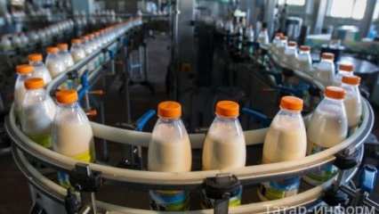 Минсельхоз России отметил Татарстан лидирующим в производстве молока